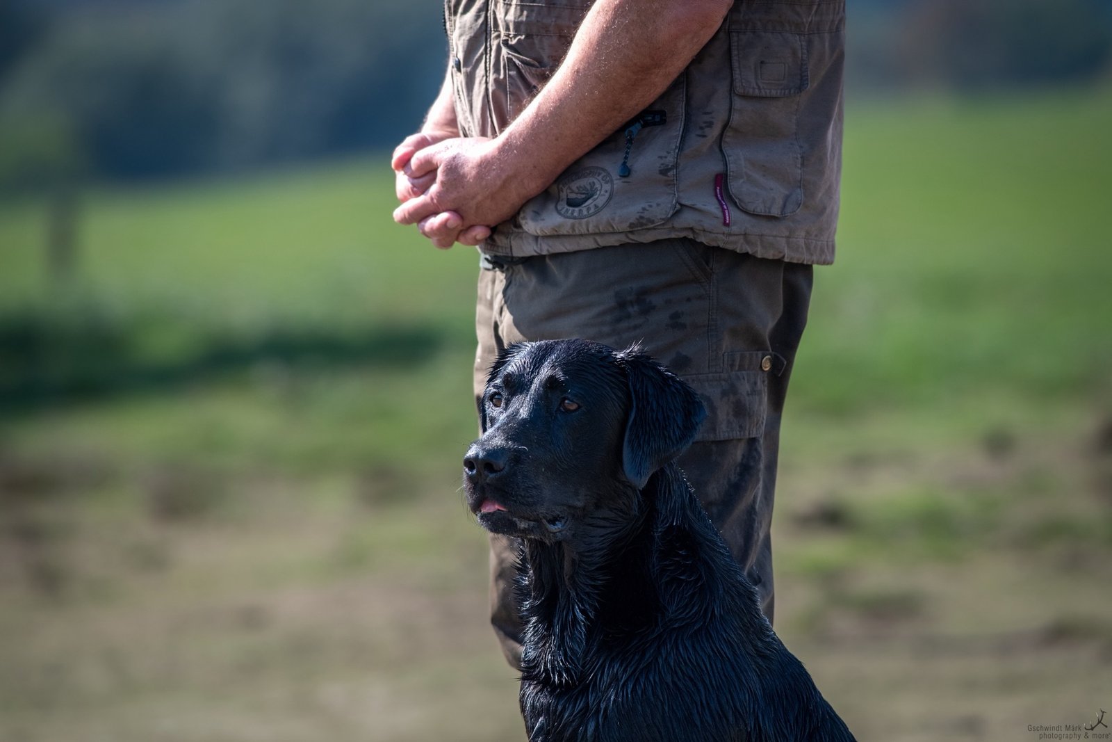 Archibald portrait